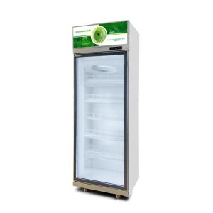 1050W Transparent Glass Door Fridge 1008L Professional Refrigeration Equipment