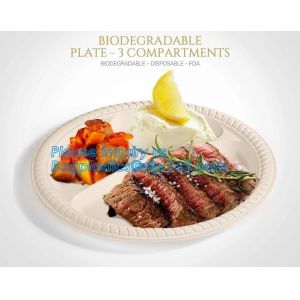 Catering Eco-Friendly Container Compartment Starch lunch Meal Box, Disposable