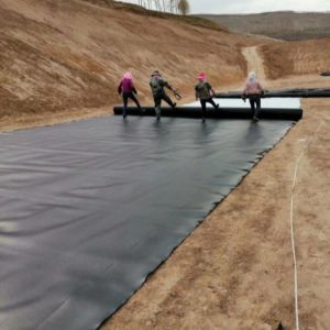 1mm HDPE Geomembrane Roll for Fish Farming 1m-8m Width Cross Categories