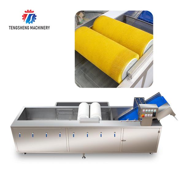 250KG Fruit and vegetable automatic roller washing machine Multi-functional