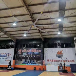 Button Control Fast Adjust Large HVLS Industrial Fans For Gymnasium Ventilation