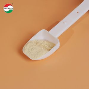 Wholesale Foldable White PP 10ML Solid State Dual-Use Food Grade Plastic Scoop