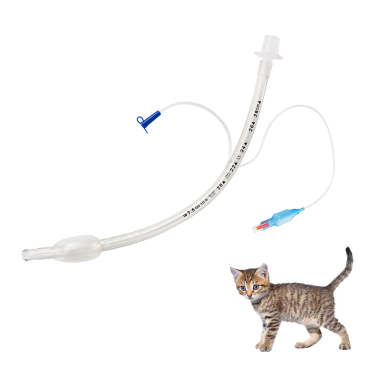 Veterinary Airway Management – Cuffed & Uncuffed Reinforced Endotracheal Tubes