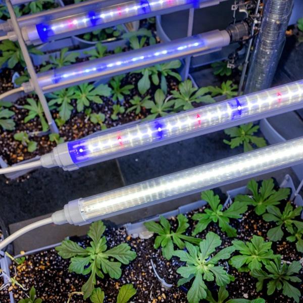 Buy 18W 20W 25W 28W 36W LED Grow Light Tubes Waterproof 3ft 4ft T5 T8 Lighting Fixture PVC Body at wholesale prices