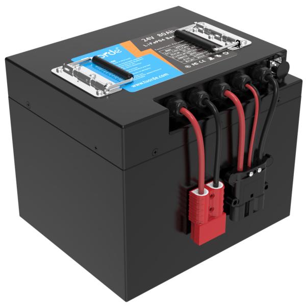 Lithium Iron Phosphate Custom Lithium Battery Packs 24V 80Ah Environment