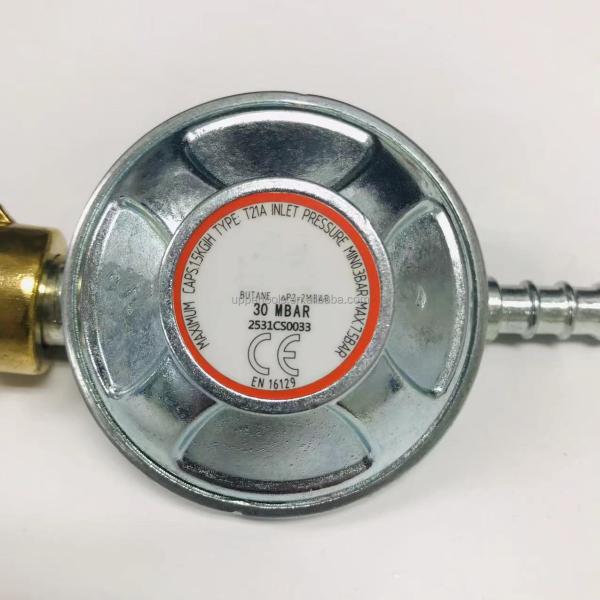 Customized Support 30mbar France Type Gas Regulator for Low Pressure Home Cooking