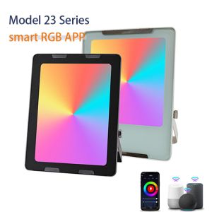 Quality Waterproof Outdoor RGB LED Floodlight Smart IP66 LED Flood Light 100W for sale