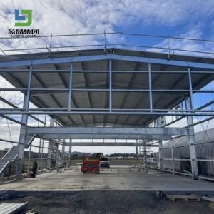 New Design Fabricated Industrial Modular Modern Shed Prefabricated Prefab