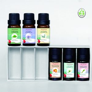 Christmas Aromatherapy Essential Oils Wholesale OEM PackageWith 6 Fragrance