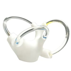 Balance Cochlea Inner Ear Cranial Nerve Rehabilitation Anatomical Function