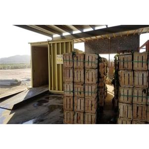 Cauliflower/Cabbage/ Edible Fungi Preservation Vacuum Coolers Full Automatic PLC