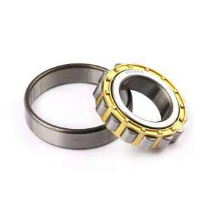 Quality Double Row Cylindrical Roller Bearing NN3005K Seals Type Open ZZ /2RS/ RS In Big Stock 25*47 for sale