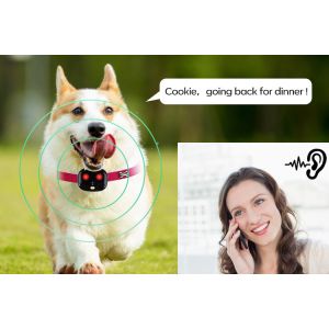 35g Black Smart Dog Collar Gps Tracker Low Battery Alarm