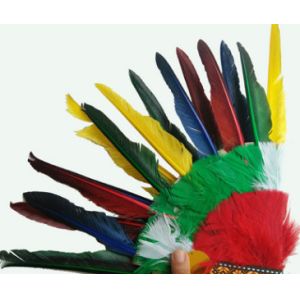Indian headdress, ground anfield dress party outfit, feather headdress, chief