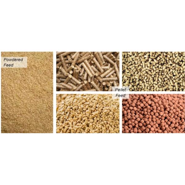 Poultry Fish Chicken Cow Mini Pelletizer Pellets Processing Making Feed Pellet Machine Feed Pellet Mill