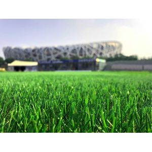 Football Natural Grass Turf Artificial Lawn Woven 50mm Height
