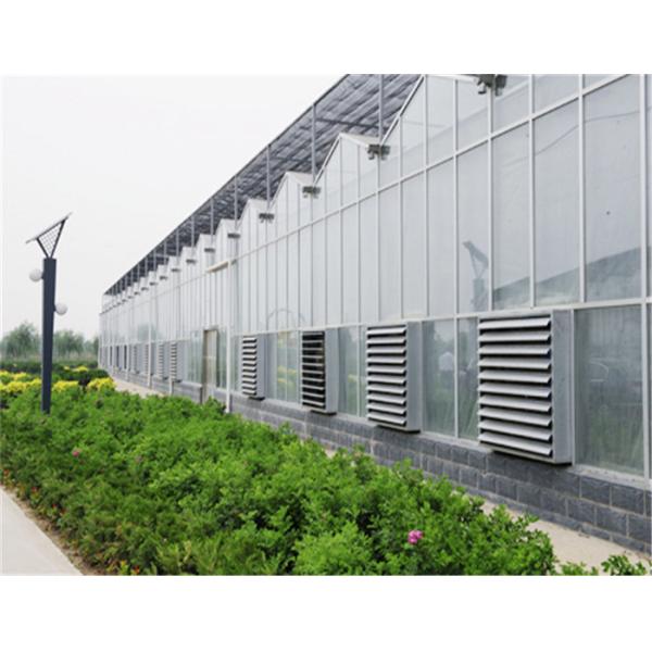 Hot Dipped Galvanized Steel 7.5m Polycarbonate Greenhouse