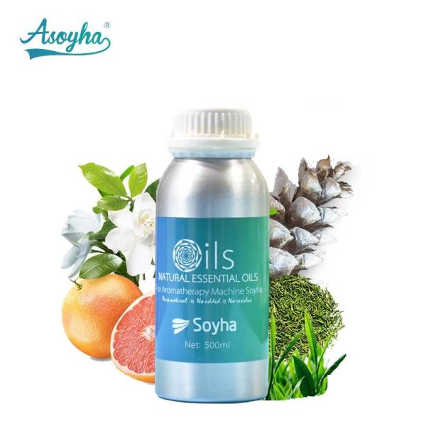 Buy House Cleaning Plant Essential Oil With Jasmine And Tea Body Notes at wholesale prices