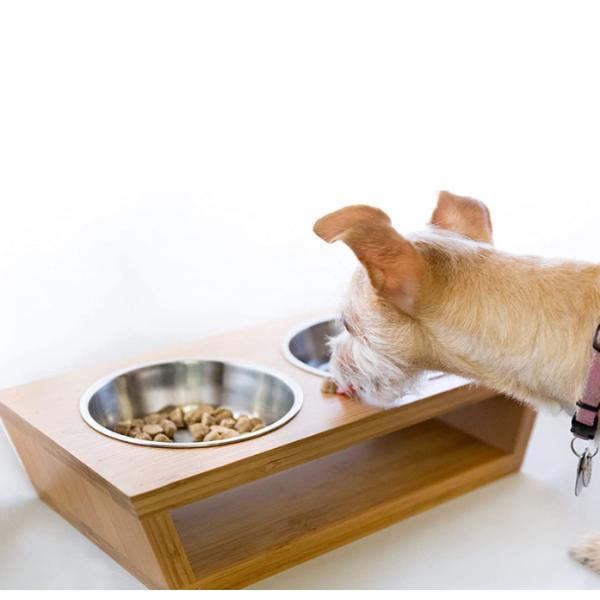 Pets Elevated Dog Bowl Stand 4”Raised Dog Bowl For Dogs And Cats