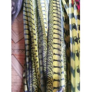 Carinval Costumes Decoration Fake Lady Amherst Pheasant Feather