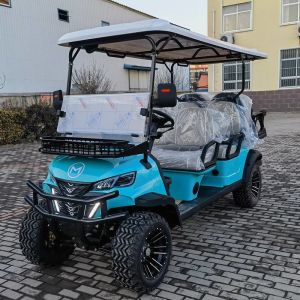 Independent Suspension 6 Passenger Electric Sightseeing Golf Cart