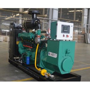 silent natural gas generator with ATS/CHP
