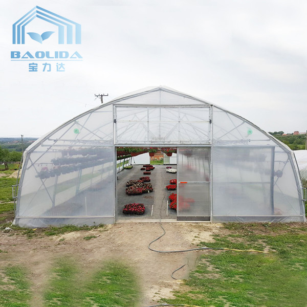 Plants Growing System Greenhouse Steel Pipe Structure Hoop Tunnel Plastic