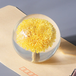 Fashion Crystal Ball Paperweight , Resin Dandelion Paperweight