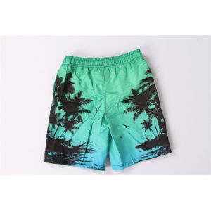 Boy's Print shorts
