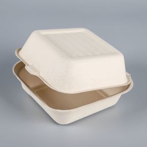 6x6 inches bagasse take out burger boxes