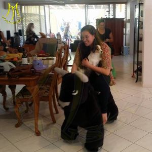 Hansel amusement ride for kiddie ride on can put in park and mall