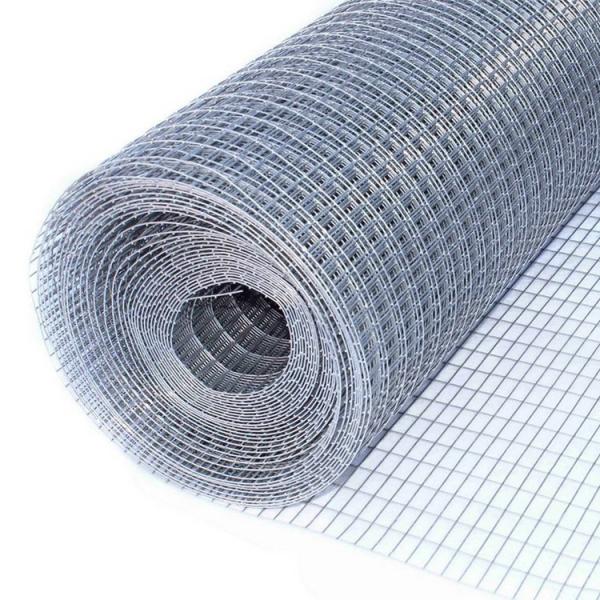 Buy 0.6mm Diameter Electro Galvanized Welded Wire Mesh 40x40mm at wholesale prices