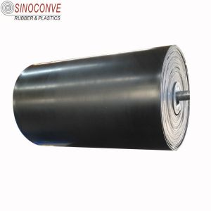 2-3m Wide ST1250 Endless Rubber Conveyor Belt for Cogeneration Plants in Energy