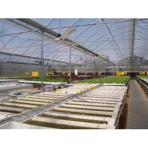 Multi Span Film Hydroponic Garden Greenhouse 10X30m Customizable