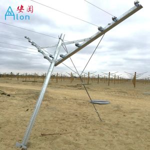 Vertical Grape Trellis Vineyard Fence Posts With Different Surface Treatment