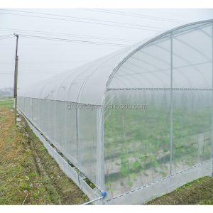 150Micron Single Span Greenhouse Customizable Plastic Film Greenhouse