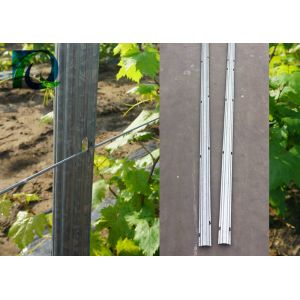 Zinc Coated 275G 1.5MM Thickness Vineyard Trellis Posts