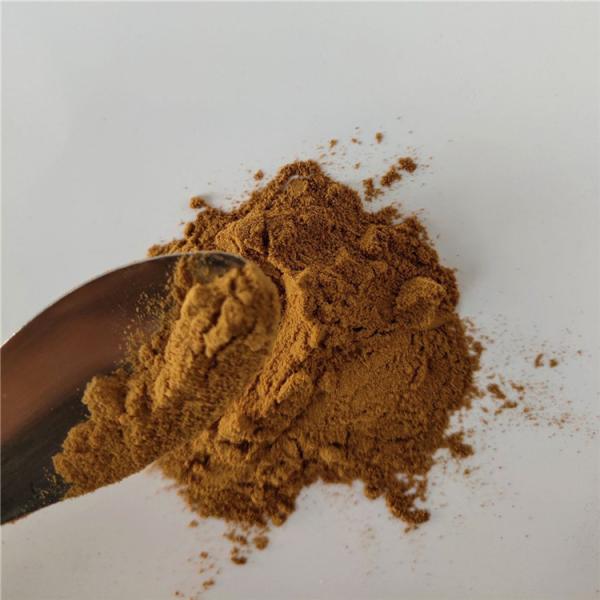 Buy Extract Herbal Wild Mango Seed Extract Powder at wholesale prices