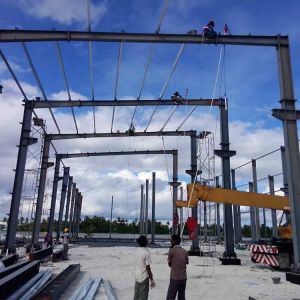 Cost Effective Steel Structural Buildings Multi Functional Metal Houses And