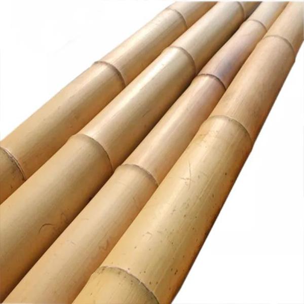 Buy Moso Bamboo Pole for Decoration Length Customized Straight Bamboo Tree Stakes at wholesale prices