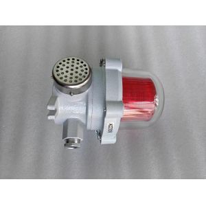 Ceiling Emergency Start Time Explosion Proof Alarm Lights With Customizable