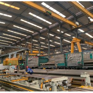 Mobile Tower Crane Hammer Head Type 10-12 Ton