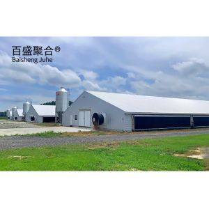Large Capacity Prefabricated Broiler Poultry Farm Building with Sandwich Panel