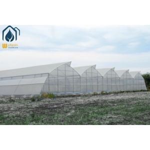 China Modern Agricultural Tropical Multi Span Greenhouse Easy Setup Low Maintenance on sale