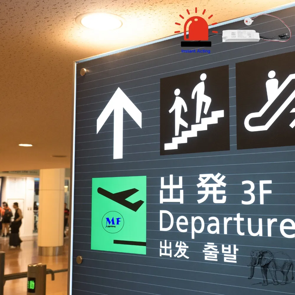 Factory Price 3-Hour Long-Lasting LED Emergency Lighting Kit Driver Power Supply &amp; Battery Ballast for Triproof Light Ceiling Light Highbay Light Basemnt