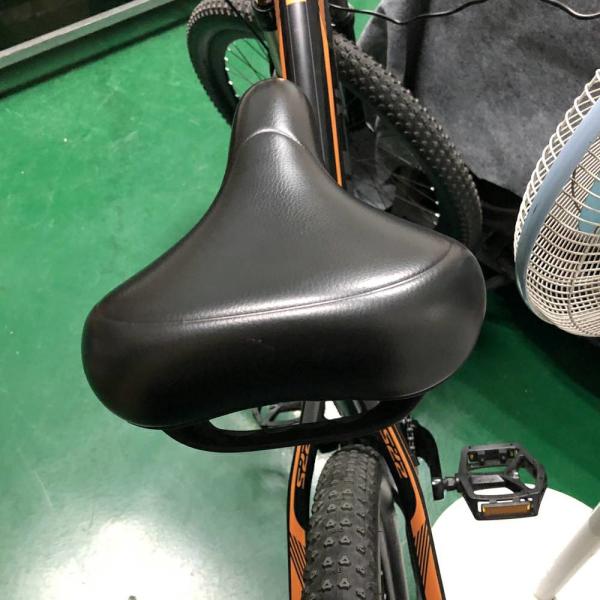 27.5inch Lithium Battery 250w 36v 9.6ah Electric Mountain Bike Rich Bit 800