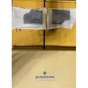 Emerson SE4101 Redundant Ethernet I/O Card (EIOC) Assembly