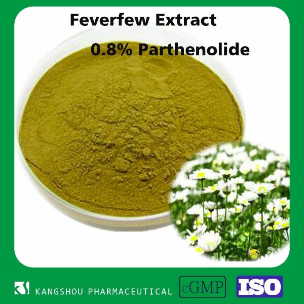 100% natural Feverfew extract 0.8% Parthenolide powder