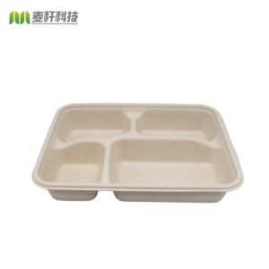 Disposable Biodegradable Sugarcane Bagasse Takeaway Lunch Food Tray with Lid