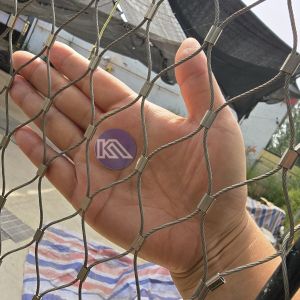 Ukraine Military Using Ss304 Wire Rope Anti Drone Netting For Protection